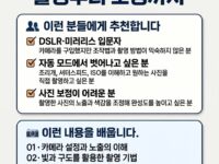 📸 스냅사진 촬영부터 보정까지(11월2일개강)